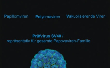 Gezielter Schutz vor Gebärmutterhalskrebs