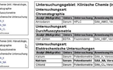 Qualitätsmanagement im Labor
