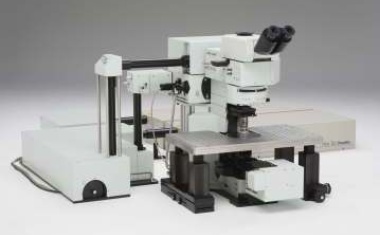 Konfokale und Multiphotonenmikroskopie eröffnen neue Möglichkeiten