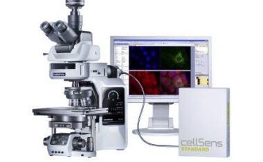 Olympus BX63: Mikroskopie maßgeschneidert