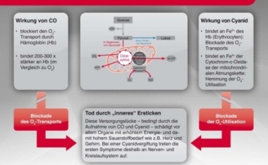 CME-zertifizierte Fortbildung „Cyanidvergiftung nach Rauchgasinhalation“