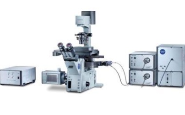 Olympus bringt Licht in die Echtzeit-FRAP