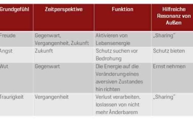 Empathische Führung – Integration der Gefühlswelten