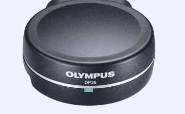 Mikroskopie mit Hilfe des Computermonitors