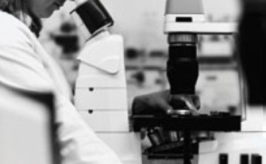 Kompaktes Zellkulturmikroskop erleichtert Routinetätigkeiten