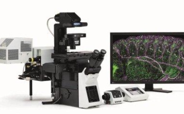 FluoView FV1200: Konfokale Darstellung und zelluläre Stimulation mit minimaler Fototoxizität