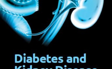 „Diabetes and Kidney Disease“ - Aktuelles Wissen zu Diabetes und Niere