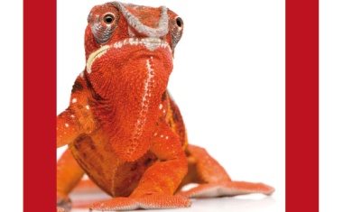 Multiresistenzen, Hygiene und Antibiotikaeinsatz