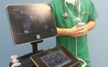 SonoSite-Systeme ideal für die Regionalanästhesie