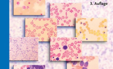 Hämatologie - Theorie und Praxis für medizinische Assistenzberufe