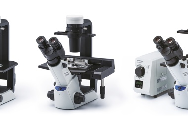 Olympus CKX53: Mikroskop: Das fortschrittliche System für die Zellkultur