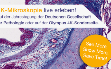 4K-Mikroskopie: See More, Show More, Save Time!
