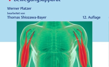 Taschenatlas Anatomie, Band 1: Bewegungsappart - Der Wissensexpress
