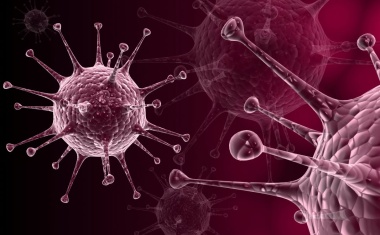 Portfolio für die Transplantationsmedizin vervollständigt