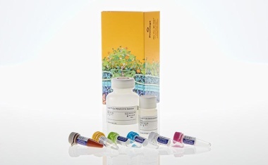 SARS-CoV-2-Antikörpertest erhält CE-Kennzeichnung