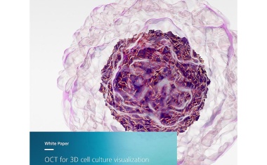 Herausforderungen und mögliche Lösungen für die Visualisierung von 3D-Zellkulturen