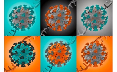 Neue SARS-CoV-2-Varianten aktiv überwachen