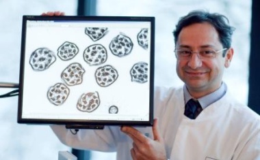 Primäre ziliäre Dyskinesie: UKM-Experte veröffentlicht gleich zwei Aufsätze in „Nature Genetics“