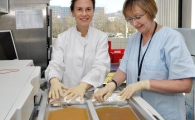 Neues Plasmapräparat am Institut für Transfusionsmedizin am UKJ entwickelt