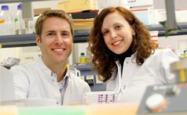 Virotherapie gegen Leberkrebs und Leberfibrose