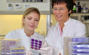 Grippemedikamente: Entwicklung neuer Wirkstoffe gegen Influenza