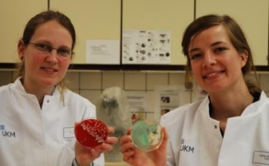 Krankenhaushygiene: Neue Akademie bildet dringend benötigte Fachärzte aus