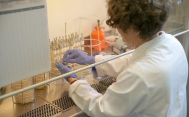 Diagnostische Laboratorien der Würzburger Universitäts-Hautklinik akkreditiert