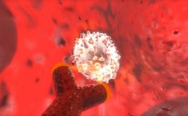 Antikörper-RNA Komplexe hemmen Wachstum von Krebszellen