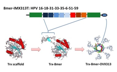 Neuer Impfstoff gegen Gebärmutterhalskrebs