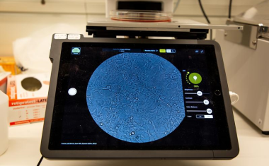 Herpesviren bekämpfen