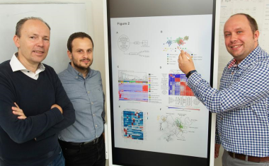 Neue Methode identifiziert aggressiven Brustkrebs