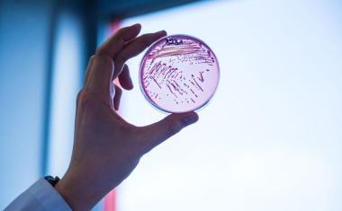 Neuartiges Antibiotikum gegen Problemkeime in Sicht