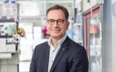 Höchster deutscher Forschungspreis geht nach Freiburg