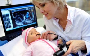 Die kleinste Ultraschallsonde der Welt