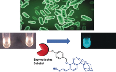 Leuchten entlarvt gefährliche Bakterien