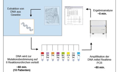 Neuer Biomarkertest detektiert Mutationen bei Lungenkrebs