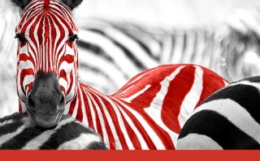 Bereit für die Zukunft