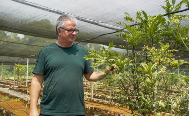 Künstlicher Wirkstoff hemmt Coronaviren