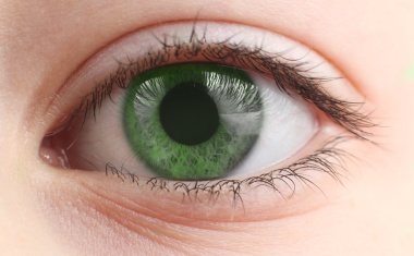 Erforschung altersbedingter Makuladegeneration