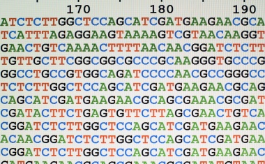Datenanalyse zum Coronavirus