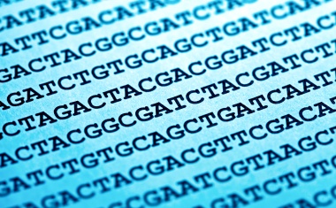 Coronanachweis: PCR-Verfahren bleiben das Mittel der Wahl