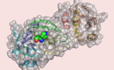 Virtuelles Screening nach Wirkstoffen gegen das Coronavirus