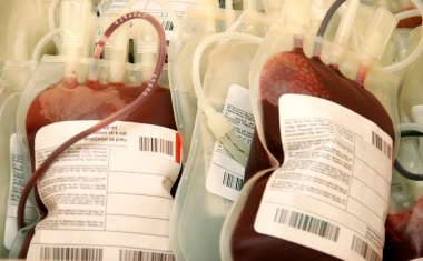 Hotline für „Termin-Blutspenden“