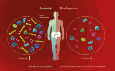Therapieprognose bei Krebs