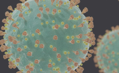 HZI: „Es ist zu früh, Restriktionen zu lockern“