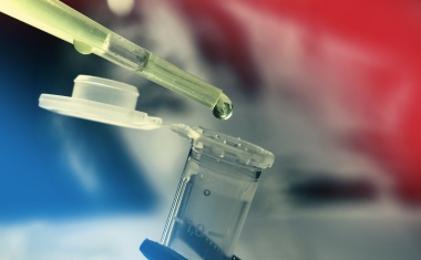 Potentielle Stellschraube für wirksamere Krebs-Immuntherapien