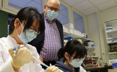 Struktur der Hauptprotease des Coronavirus aufgeklärt