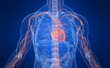 COVID-19: Auch eine systemische Gefäßentzündung