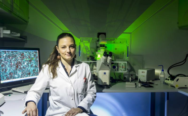 Nervenverletzungen: Fettstoffwechsel als Ansatzpunkt für die Traumatherapie