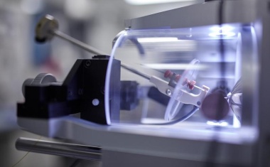 Den Verlauf von COVID-19 anhand des Blutes vorhersagen